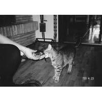 クロアチア/CROATIA